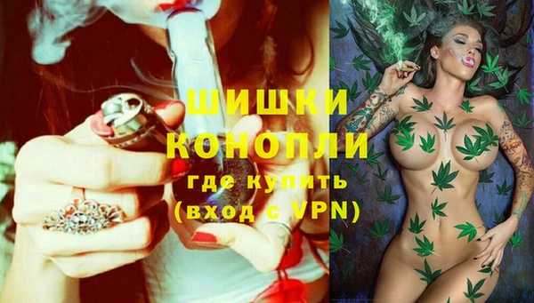 соль ск Гусев