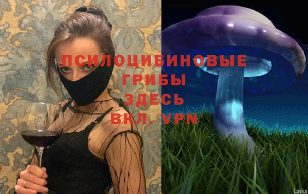 меф Гусь-Хрустальный