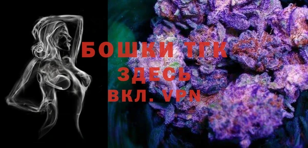 сатива Горно-Алтайск