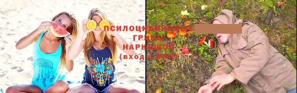 соль ск Гусев