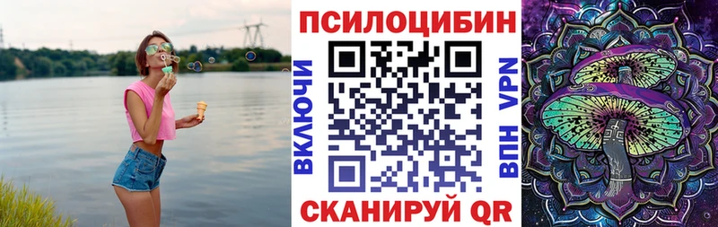 Купить Сланцы Псилоцибиновые грибы Psilocybe
